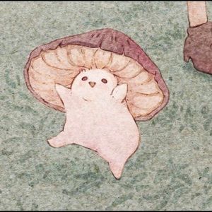 Meet your Posher, Tamara